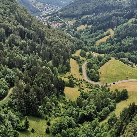 住宿加早餐酒店 Grenzenlos